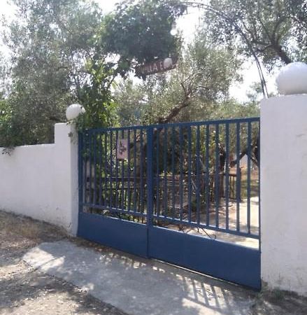 Villa Elli Metokhion Agios Grigoriou Extérieur photo