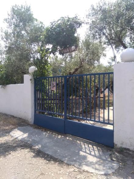 Villa Elli Metokhion Agios Grigoriou Extérieur photo